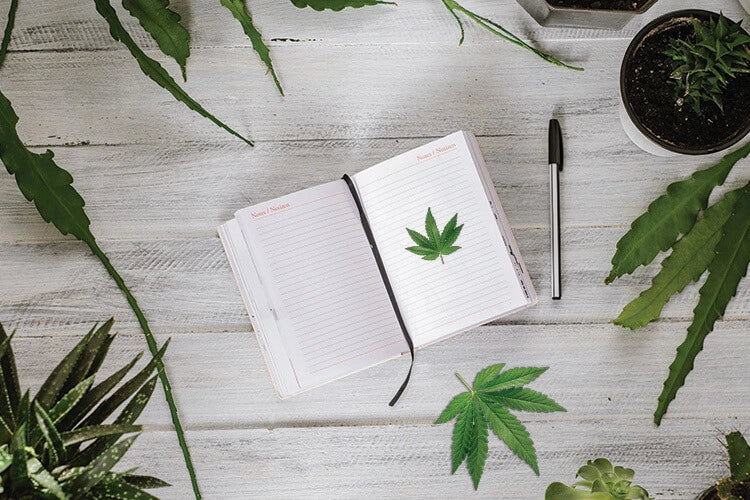 Decoding CBD: A Comprehensive Guide to Cannabidiol