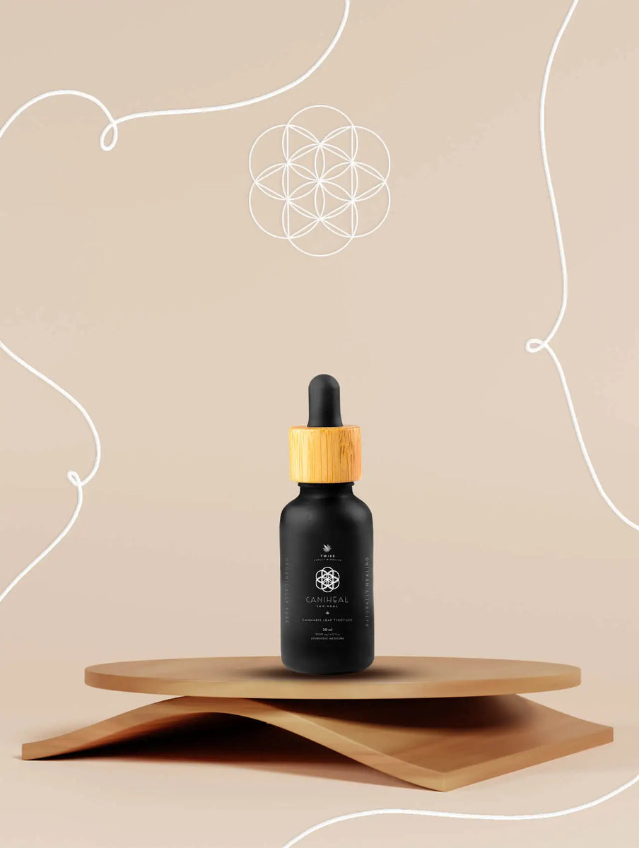 Caniheal | Heal with CBD | Twiee – Twiee - Expect Miracles