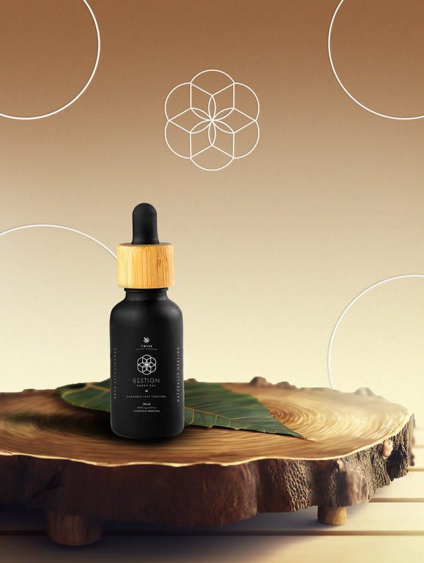 gestion second image