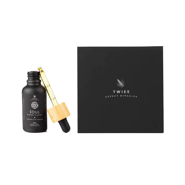 soul reconnect and reflect