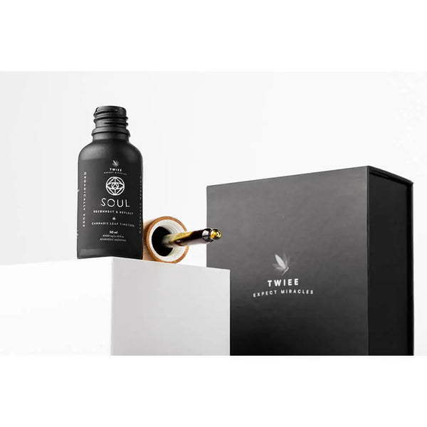 soul reconnect and reflect